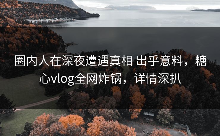 圈内人在深夜遭遇真相 出乎意料，糖心vlog全网炸锅，详情深扒