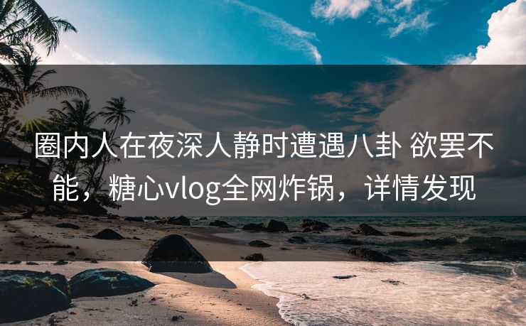 圈内人在夜深人静时遭遇八卦 欲罢不能，糖心vlog全网炸锅，详情发现